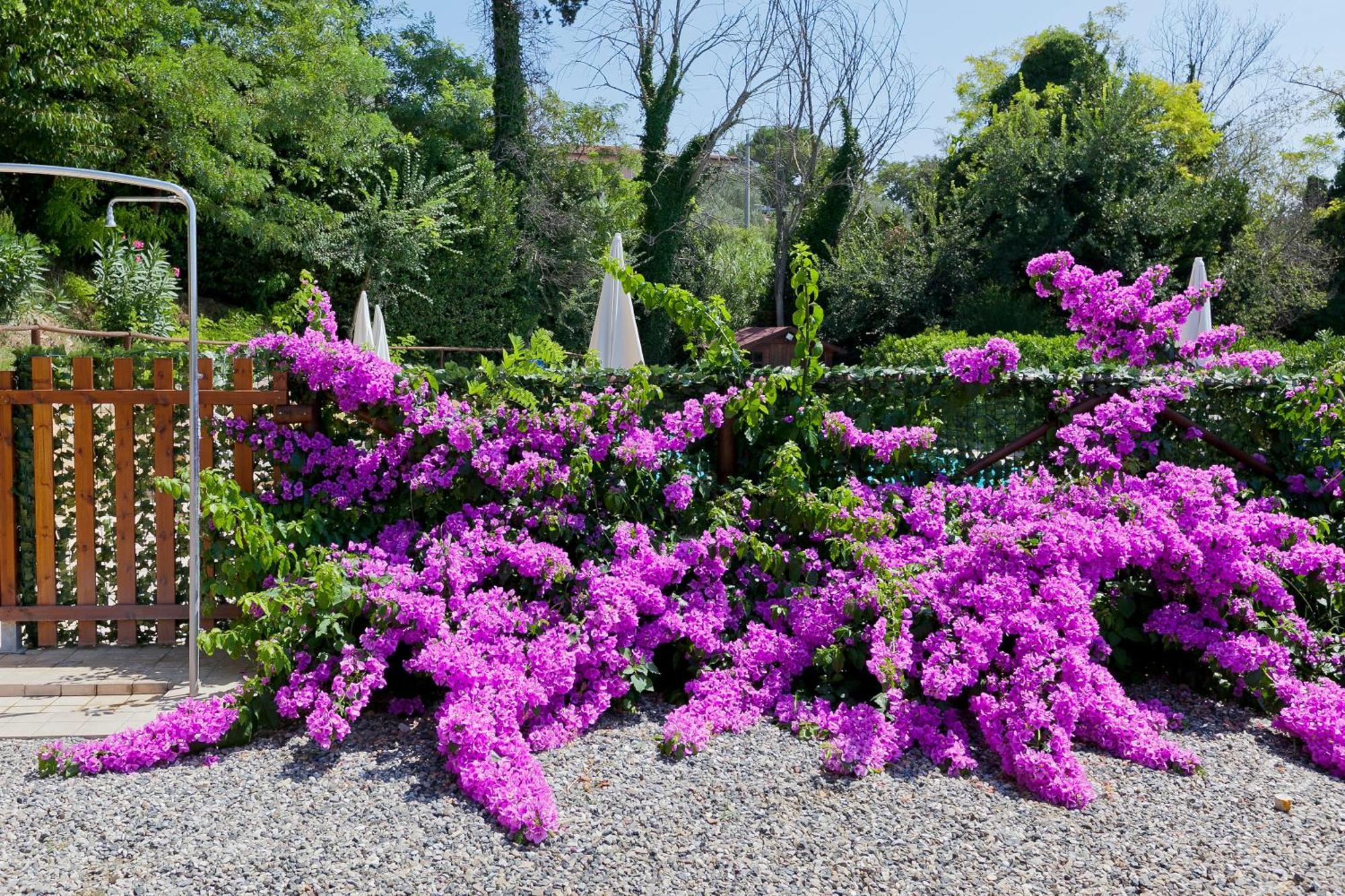 Garden Relais Le Fontanelle Aparthotel Montescudaio Exteriör bild